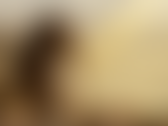 Pourquoi découvrir sa mission de vie ?