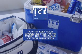 How to Keep Your Groceries Fresh with Techni Ice
