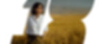 Luso-Page-Standard-Size-Banner-2.5.jpg