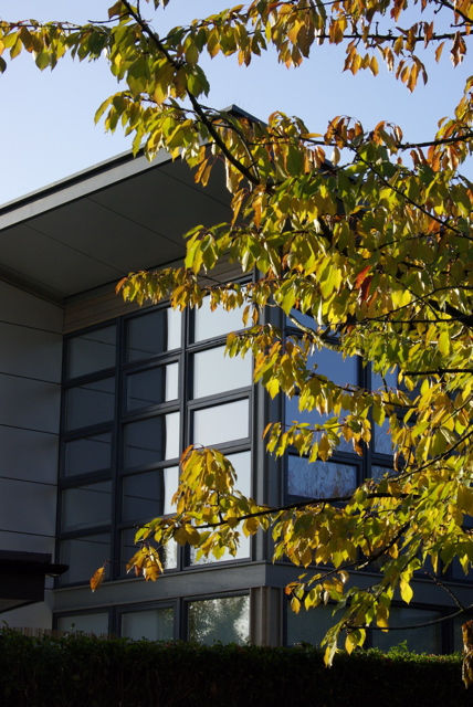modern aluminium clad house