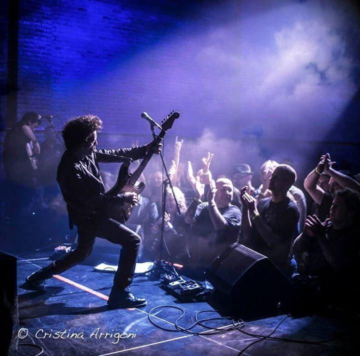 WILLIE NILE BAND at Vine & Vibes - Small Batch Cellars