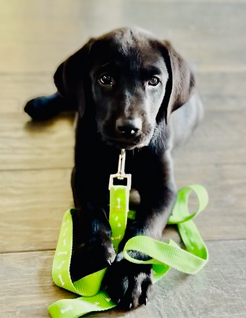 Brightened Baba of MMK 1_edited.png