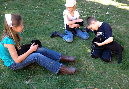 Warken Girls & James playing with puppies March 2015_edited.jpg