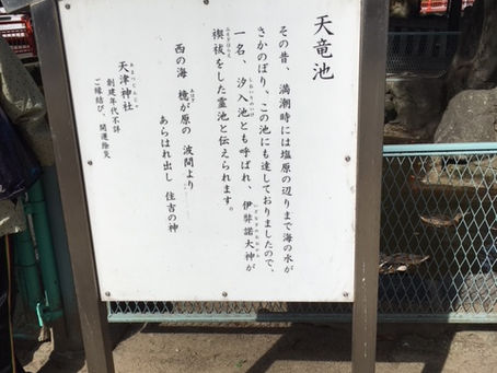 天竜池