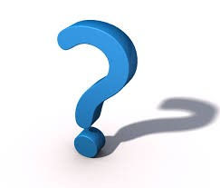 National Ask A Stupid Question Day