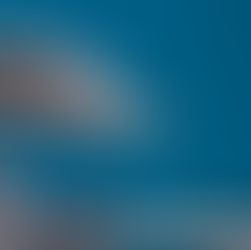 Forschungsbericht des DHI-Gemeinschaftsprojekts 2024/2025 veröffentlicht