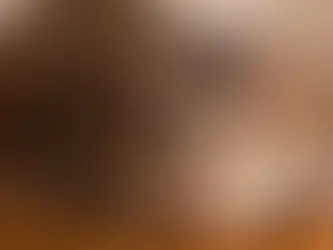 A Percepção Felina: Desvendando os Mistérios da Sensibilidade dos Gatos