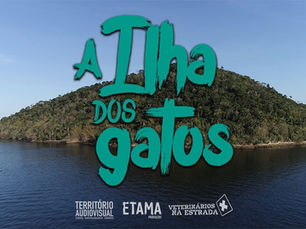 Ilha dos Esquecidos: O Grito Silencioso dos Felinos abandonados