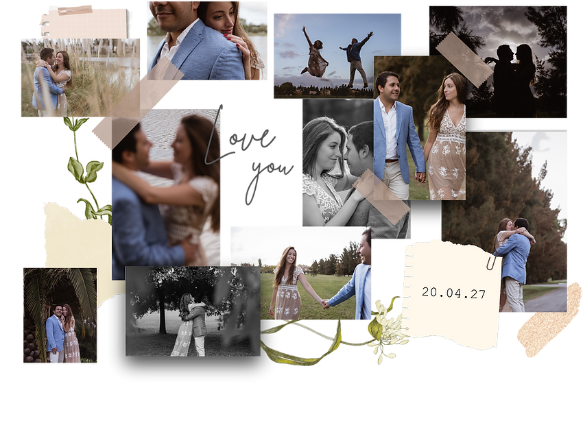 Collage web.png