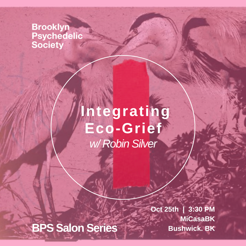BPS Salon Series: Integrating Eco-Grief w/ Robin Silver