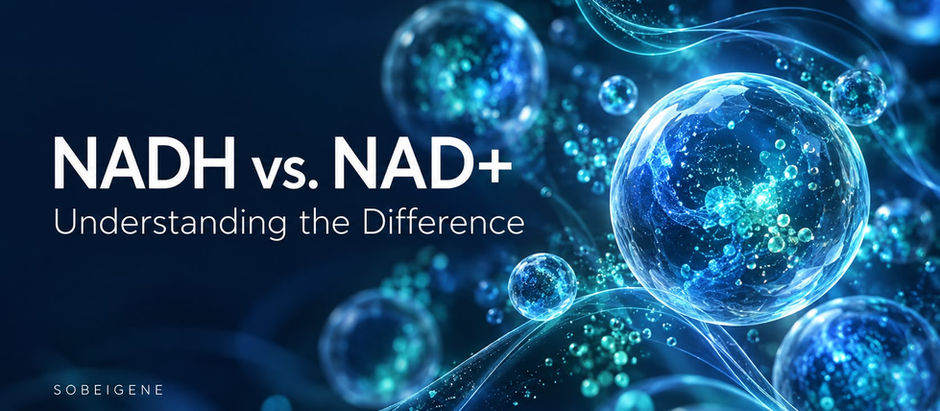 NADH vs. NAD+: Understanding the Difference