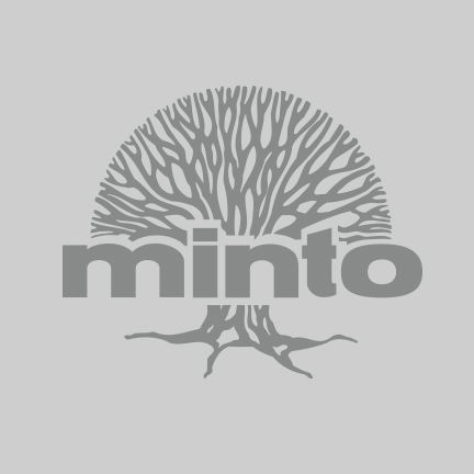 Minto.jpg