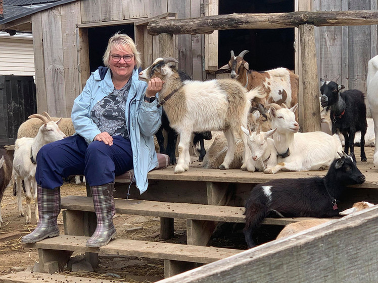 Farm Animal Petting Zoo Triple C Farm