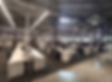 Cotton On - Witech Solutions Pty Ltd - Wifi site survey- Australia .png