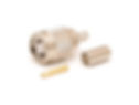 RPTNC Male Connector for TWS-195 Cable