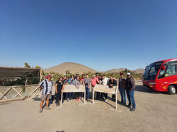 Arica 6