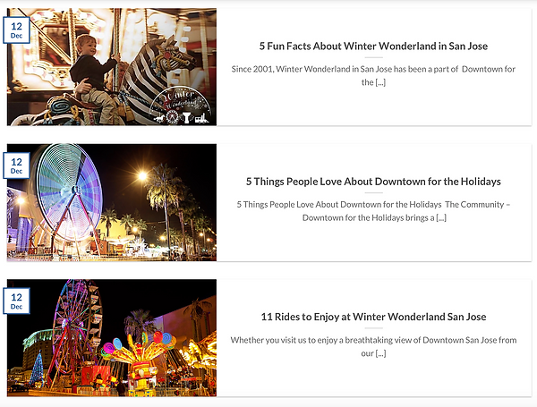 Ruth Mendoza Marketing - Winter Wonderland SJ