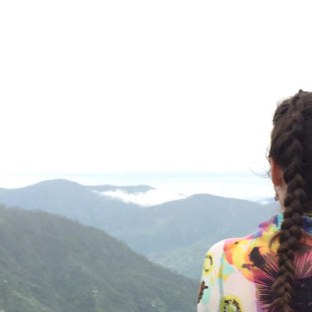 From the Ant to the Elephant...