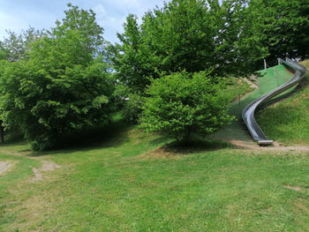 Spielplatz Auẞenanlagenpflege (15).jpeg
