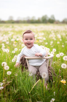 Entzückendes Baby sitzt in einem Stuhl inmitten eines Löwenzahnfeldes. FAMILIEN FOTOSHOOTING.