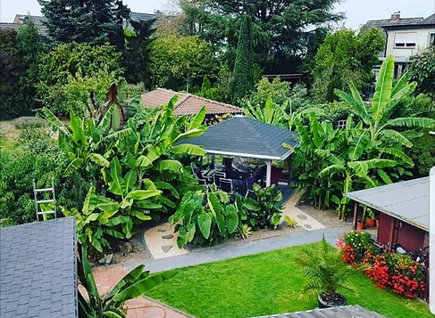 Tropical Garden - Wo alle Begann.jpeg