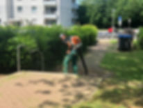 WhatsApp Image 2019-06-09 at 15.22.52.jp
