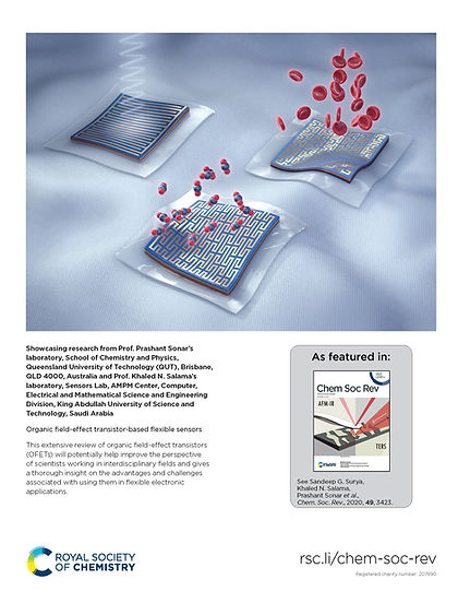 RSC_CSR_cover.jpg
