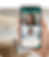 imagem primeira dobra.png