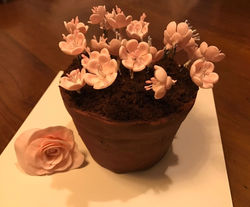 IMG_20170324_194256_665