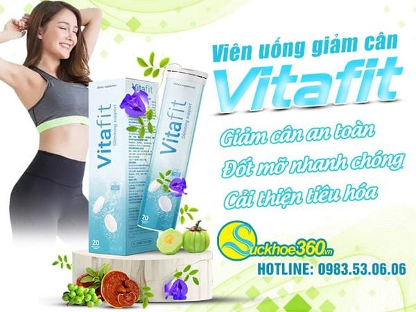 Vitafit là gì? Tổng quan nhanh