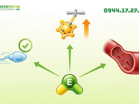 Vitamin E Trong Maxzex Tăng Cường Sinh Lực Phái Mạnh