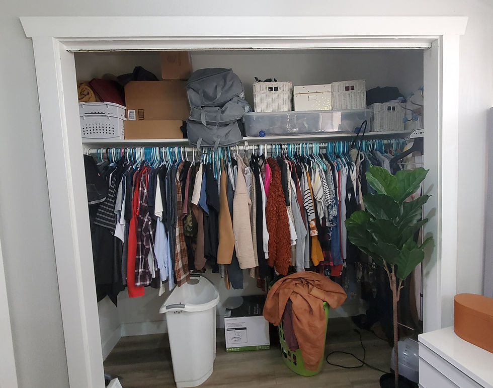 Master closet redo