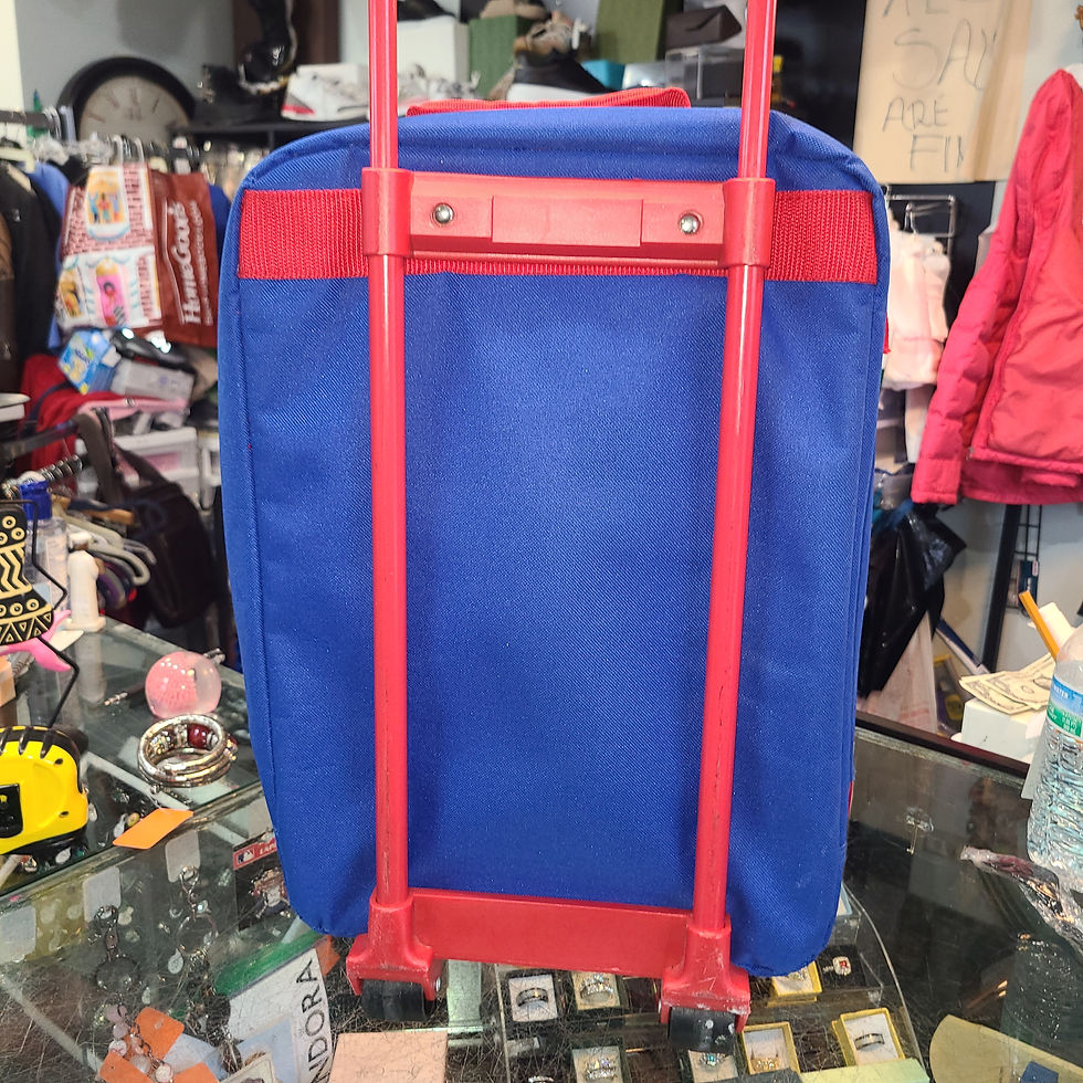 Miniatura: Paw Patrol Pilot Rolling Suitcase Luggage 