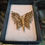 Thumbnail: Vintage Monet Gold-Tone Filigree Butterfly Brooch Pin