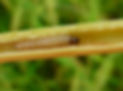 a3e8af4a2c622b4dfff1f36897e4b280.jpeg