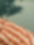 F539BA8B-8952-4B6D-AE5D-25834D6EE8EC.PNG
