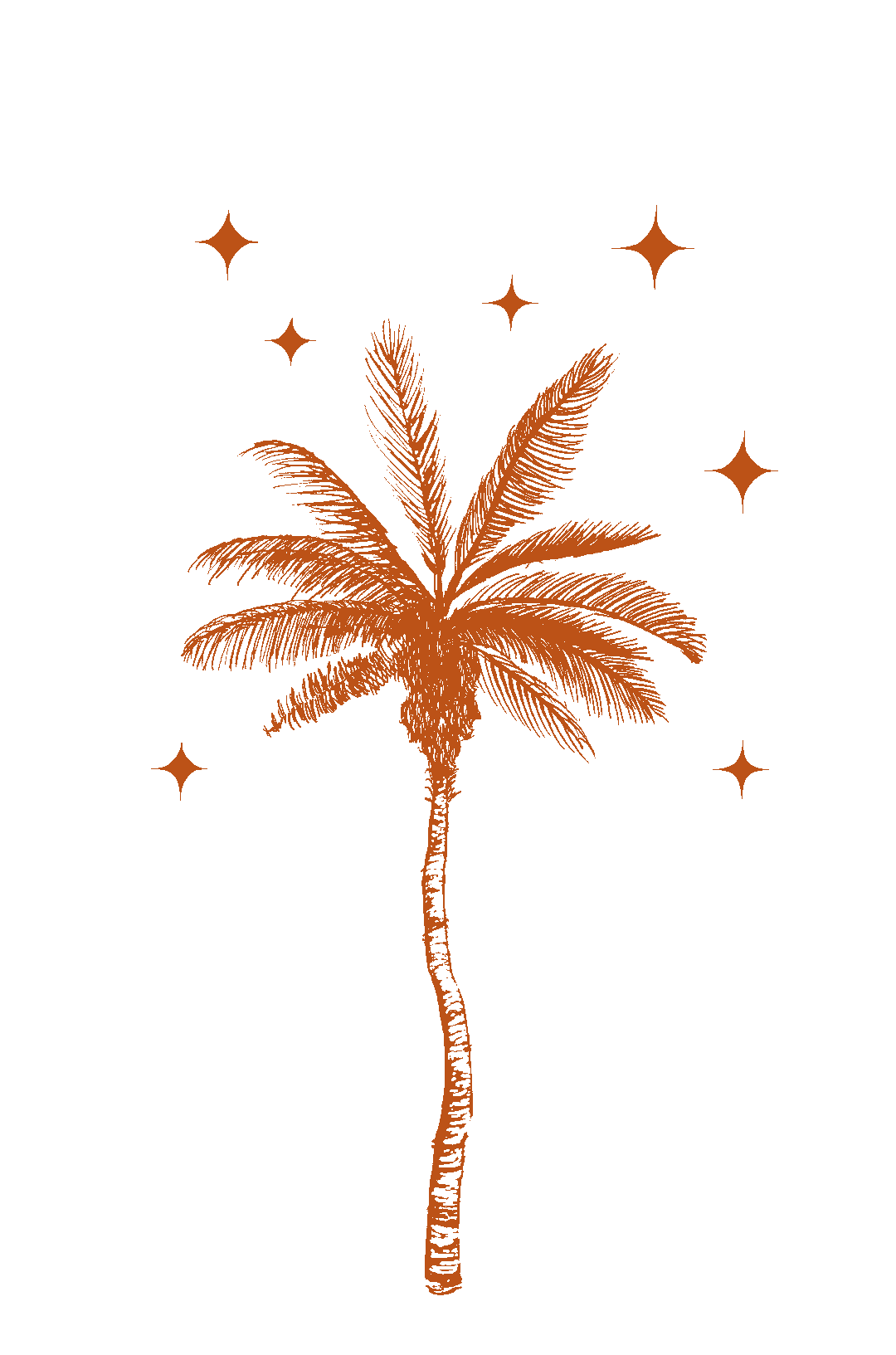 Palm-Logo-GIF.gif
