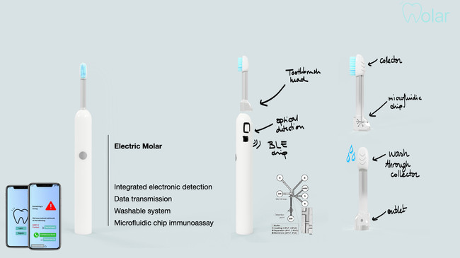 Electric Molar