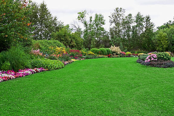 artificial turf gallery 10.jpeg