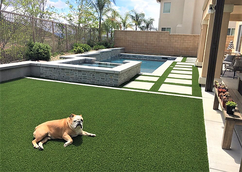 Pet-turf-photo-Purfect turf.png