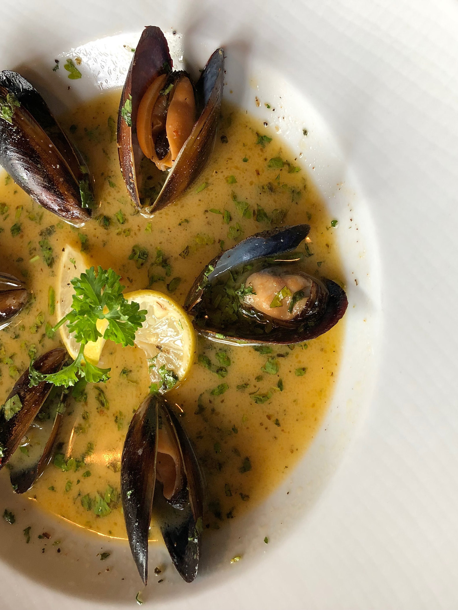 Italian Restaurant United States Pesto Ristorante