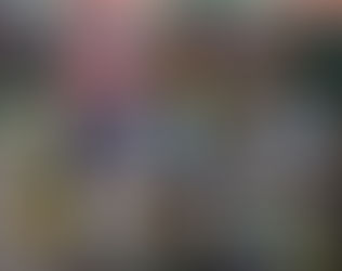 5 Books & 10 Graphic Novels