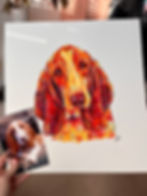 Thumbnail: Multi-coloured Pet Portrait