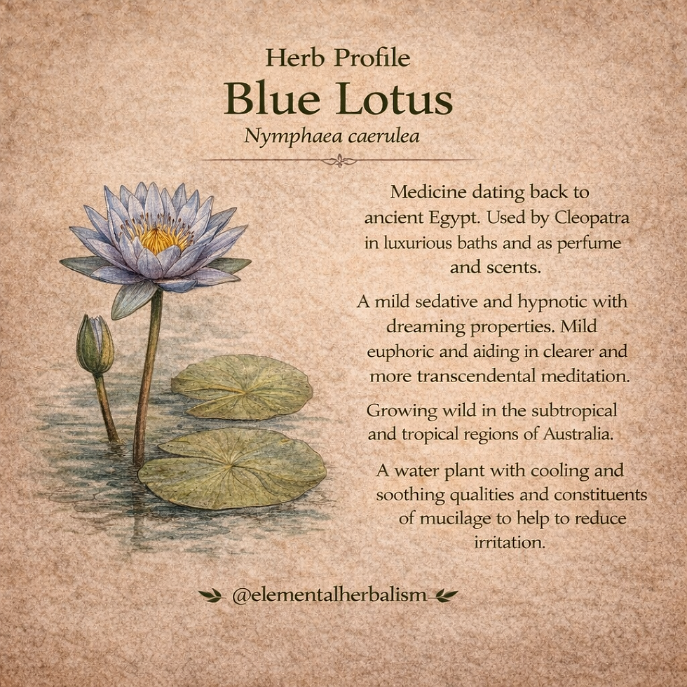 Thumbnail: Blue Lotus oil