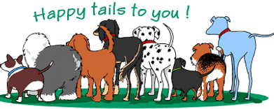 dog day care, dog grooming, dog boarding