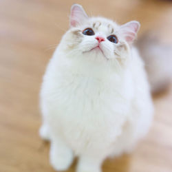 353050820_814533996774918_5339255254249059493_n