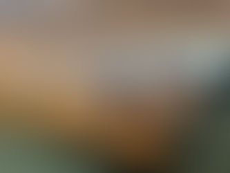 Reportaža: Sodobna informacijska tehnologija za ekonomiste