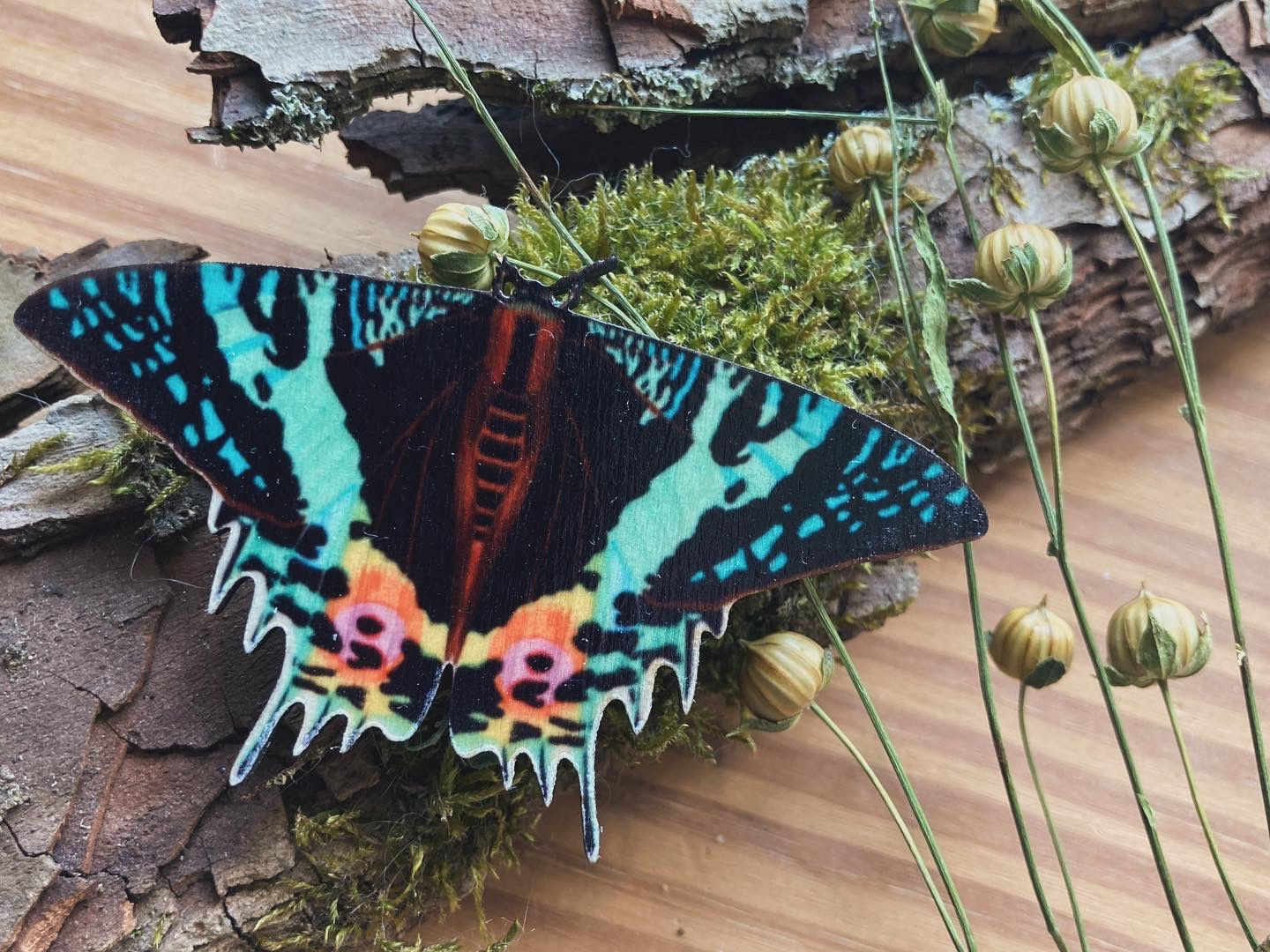 Chrysiridia rhipheus Brosche Schmuck Regenbogen Sonnenuntergang Falter