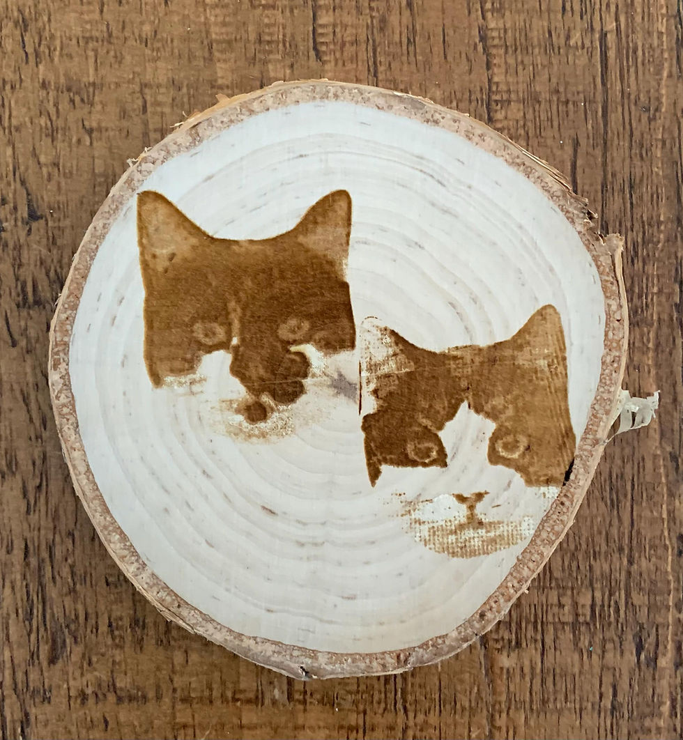 Thumbnail: Pets photo engraved onto wooden coaster