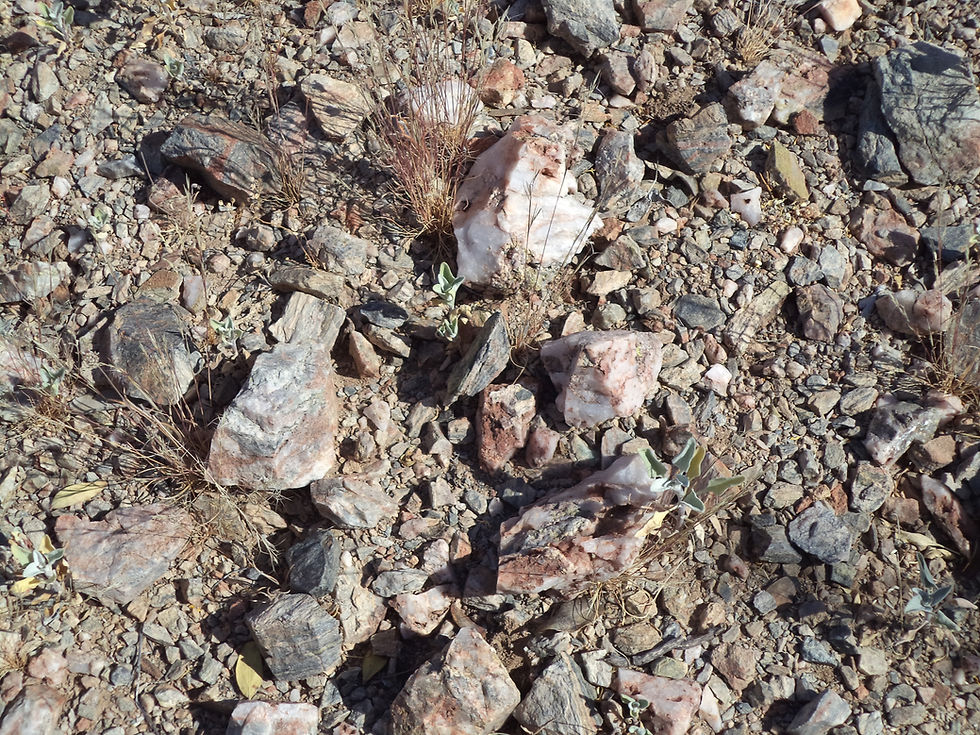 Thumbnail: Superstition Gold #2